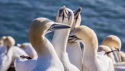 开云·体育官网-VALORANT 选手竞技状态持续火爆，valorant战绩