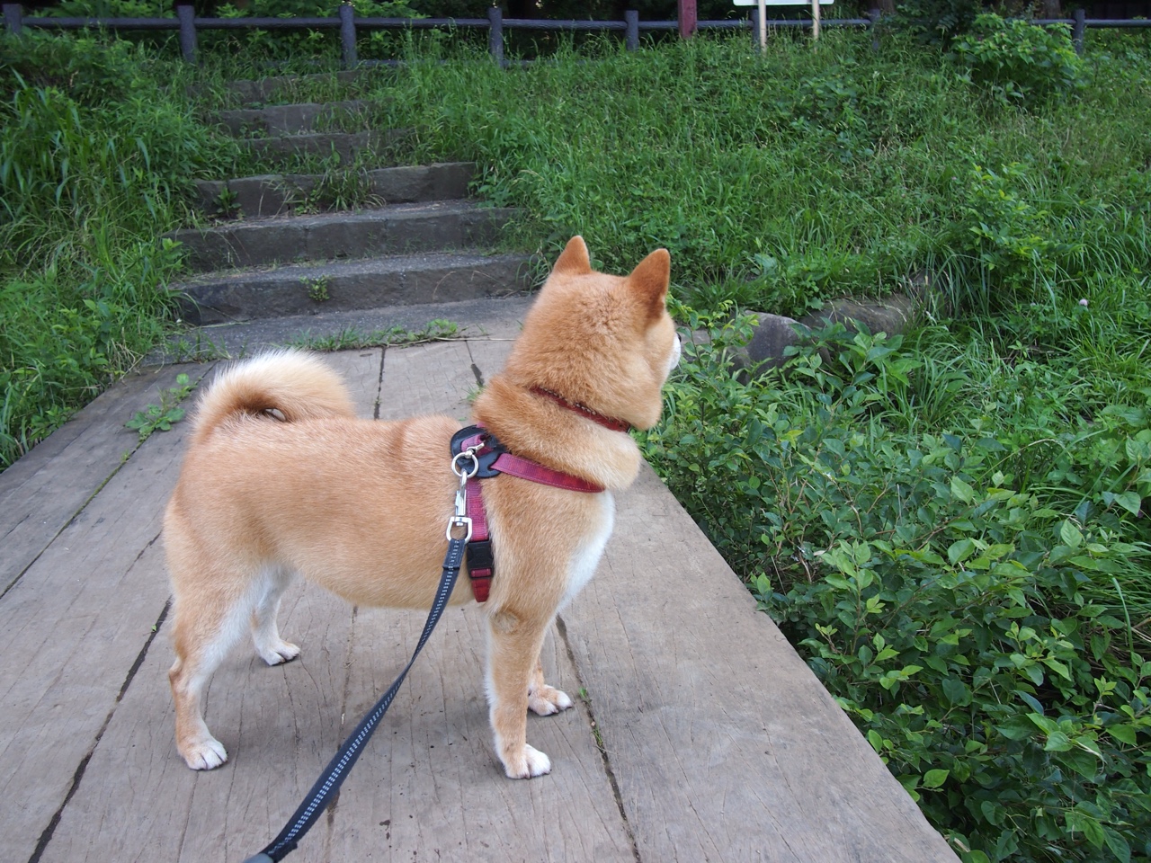 开云入口-VALORANT 赛事直播吸引大量观众，valorant 2021