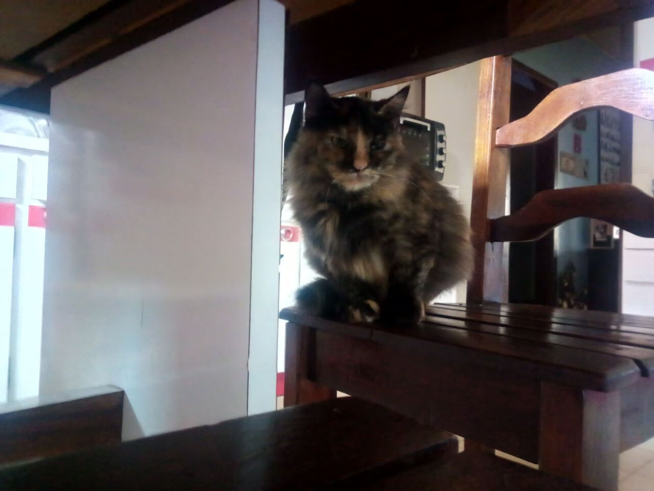 开云·体育官网APP下载-《《使命召唤：现代战争3》上线全新多人模式》，使命召唤 现代战争 3