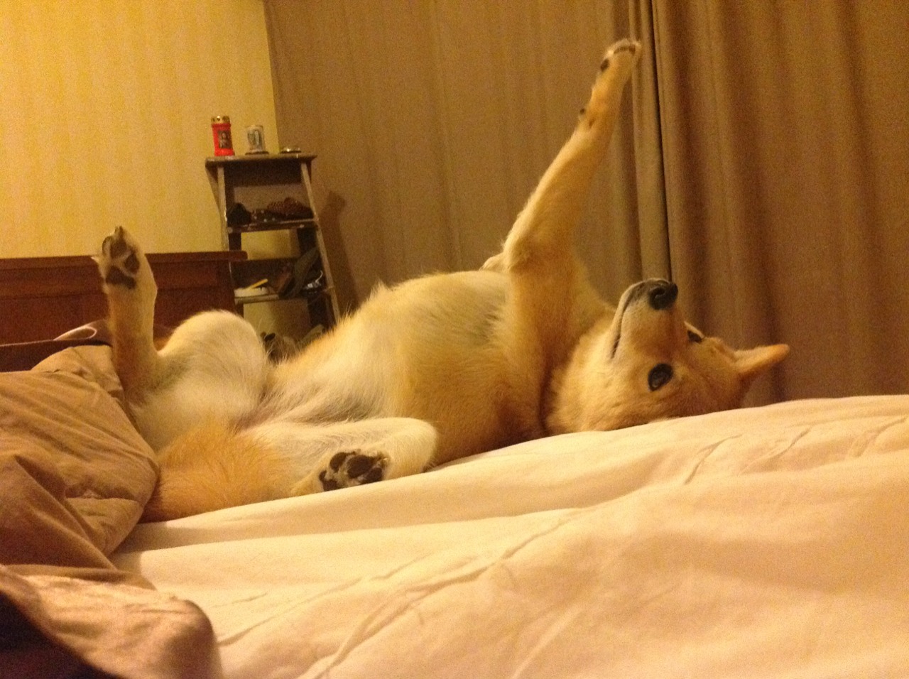 【比赛时间限制】快速节奏赛制如何改变传统棒球?,棒球的最快速度