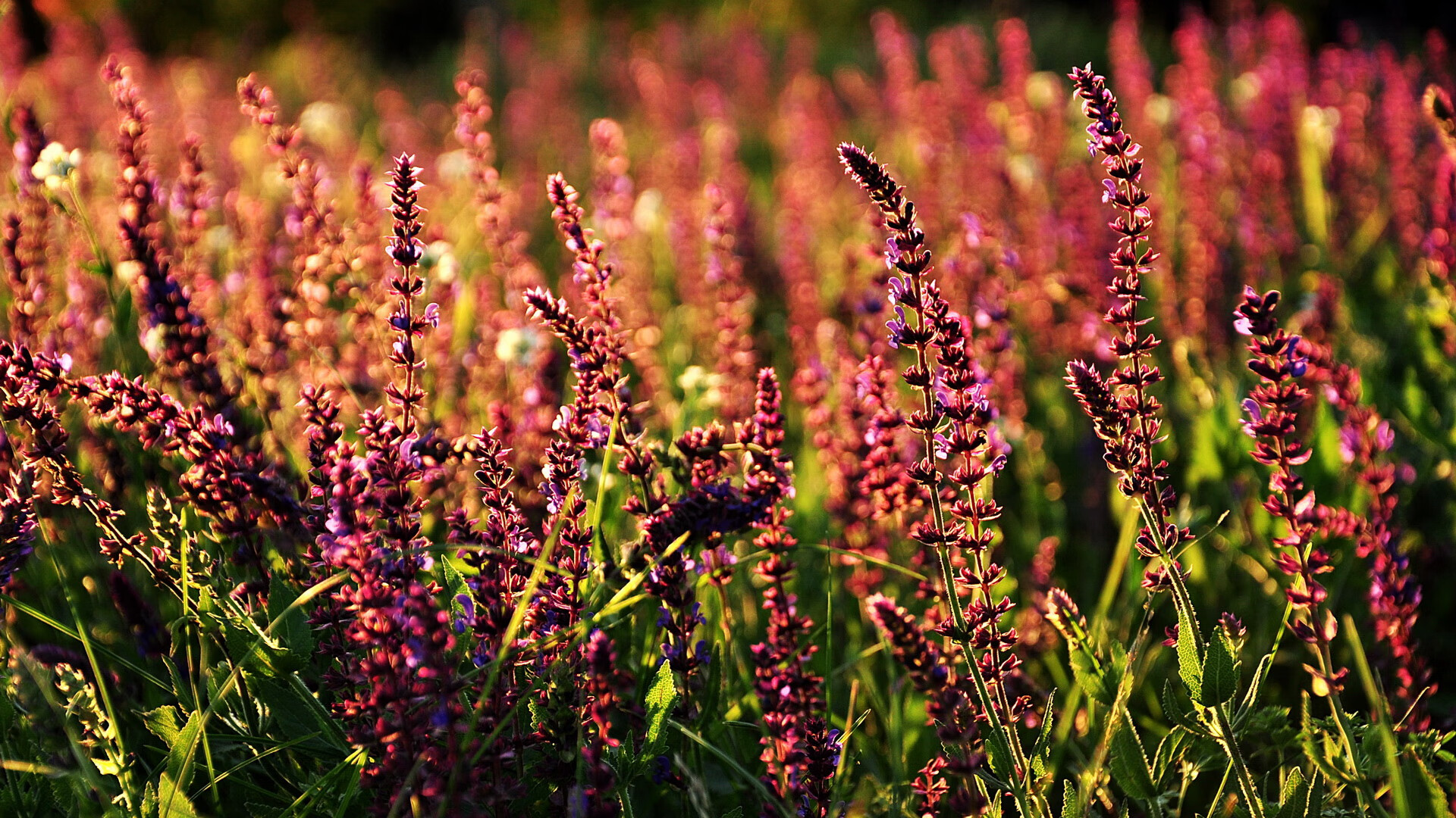 中超俱乐部加快建设自有训练基地，中超俱乐部管理体制