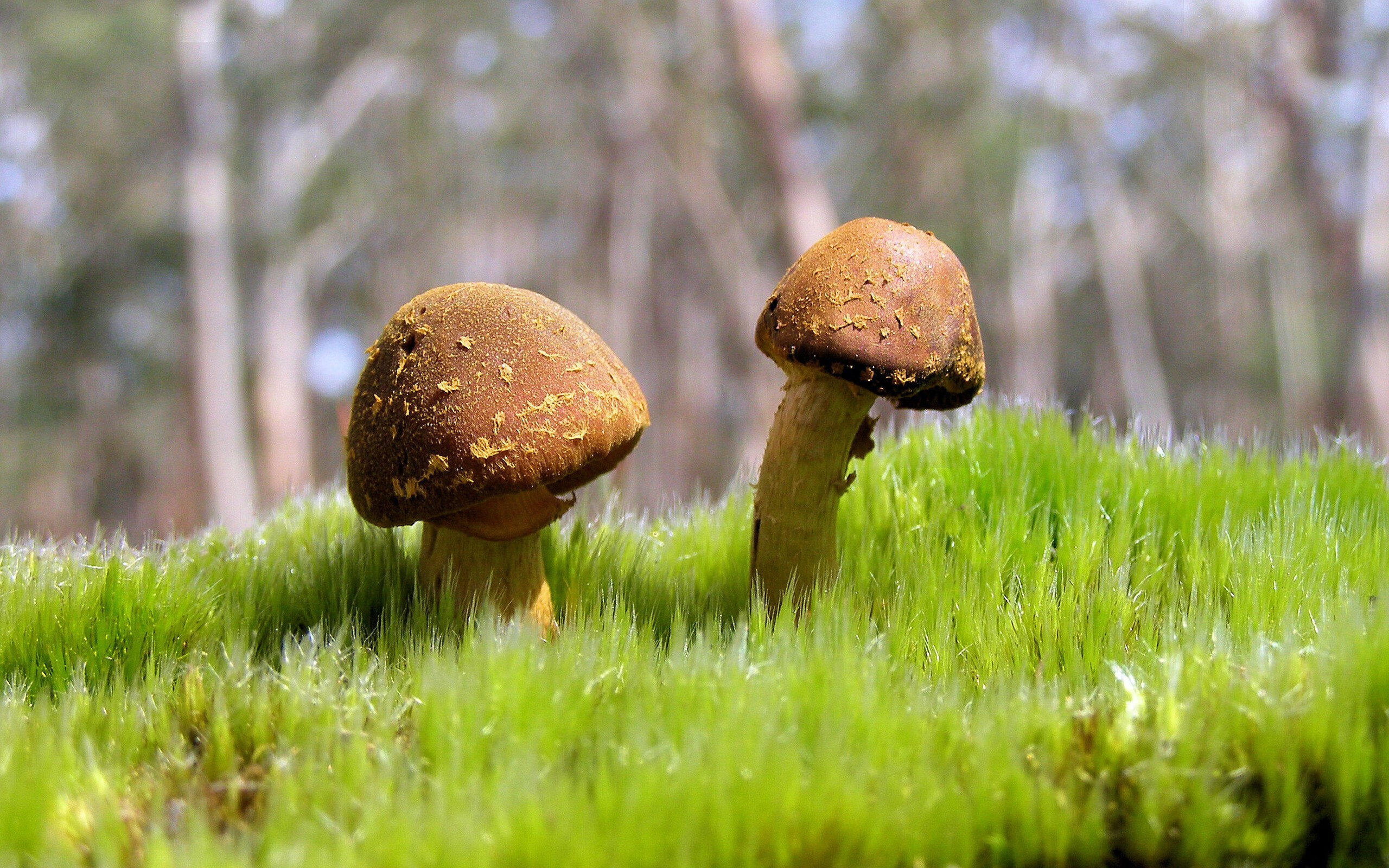 中超升班马表现抢眼,黑马球队崛起,2020中甲升班马的球队