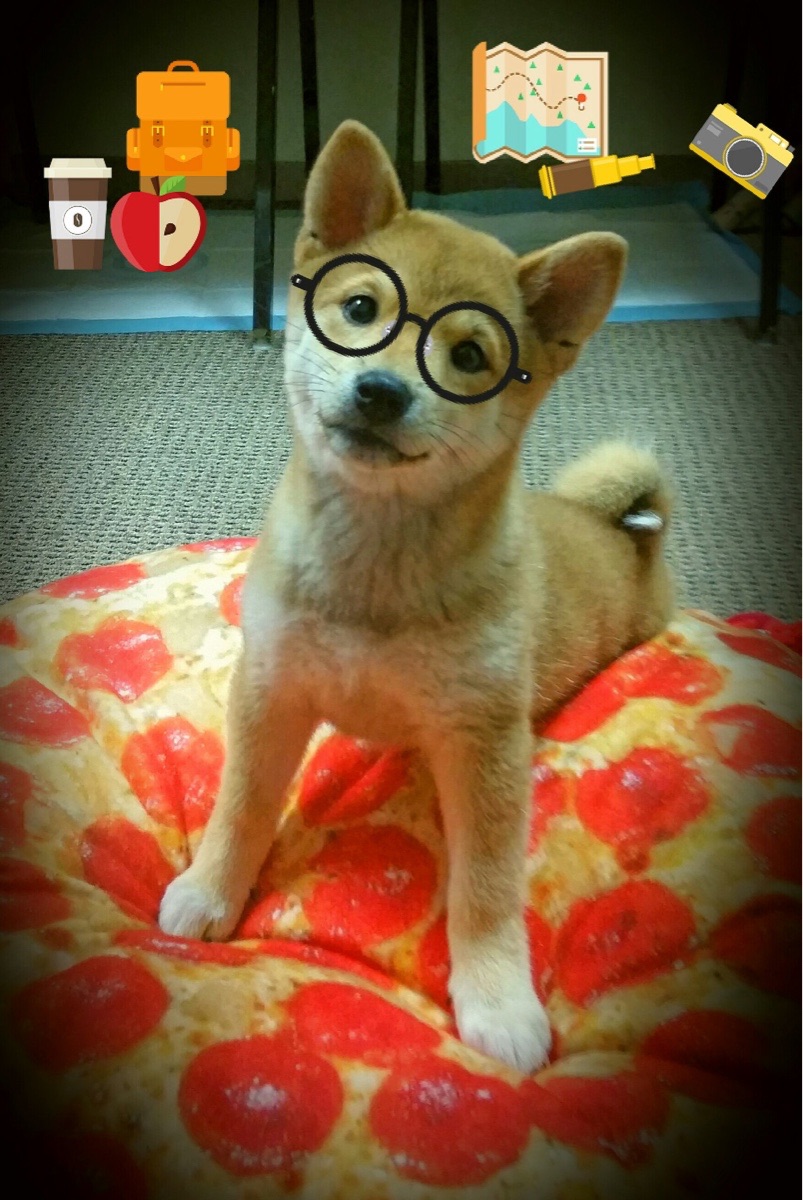 kaiyun体育综合-太空狼人杀“推理王者”全球总决战激情燃爆