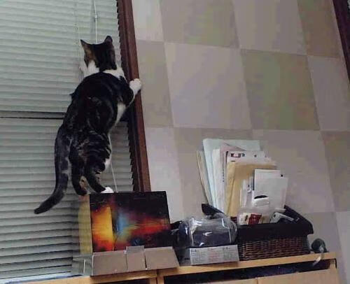 kaiyun官方入口登录-皇马中场核心复出，球队战斗力全面提升，皇马中场有哪些巨星