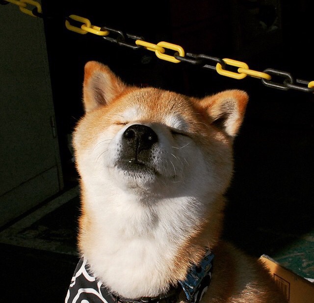 绿色环保场馆效果明显,行业持续践行可持续发展战略,绿色环保设施