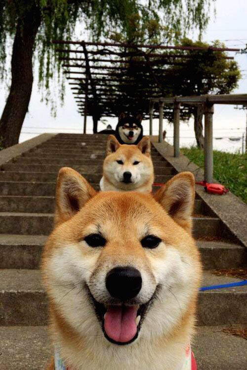 公牛击败森林狼，常规赛巅峰对决中德罗赞带伤作战，公牛赞助的比赛