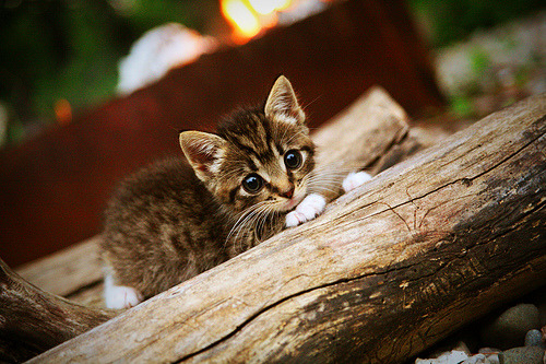 Kaiyun官方登录入口-日本队防守端表现稳定，失球数大幅减少，日本防守类型