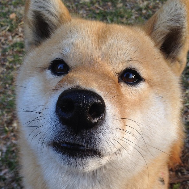 法国选手表现抢眼,信心满满,法国选秀女歌手