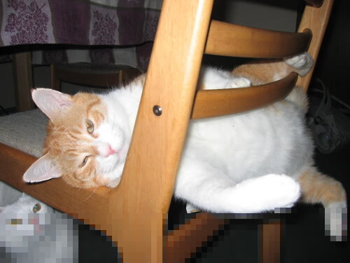 美国女足在巴黎奥运会上展示了高水平的比赛状态,美国女足奥运会金牌