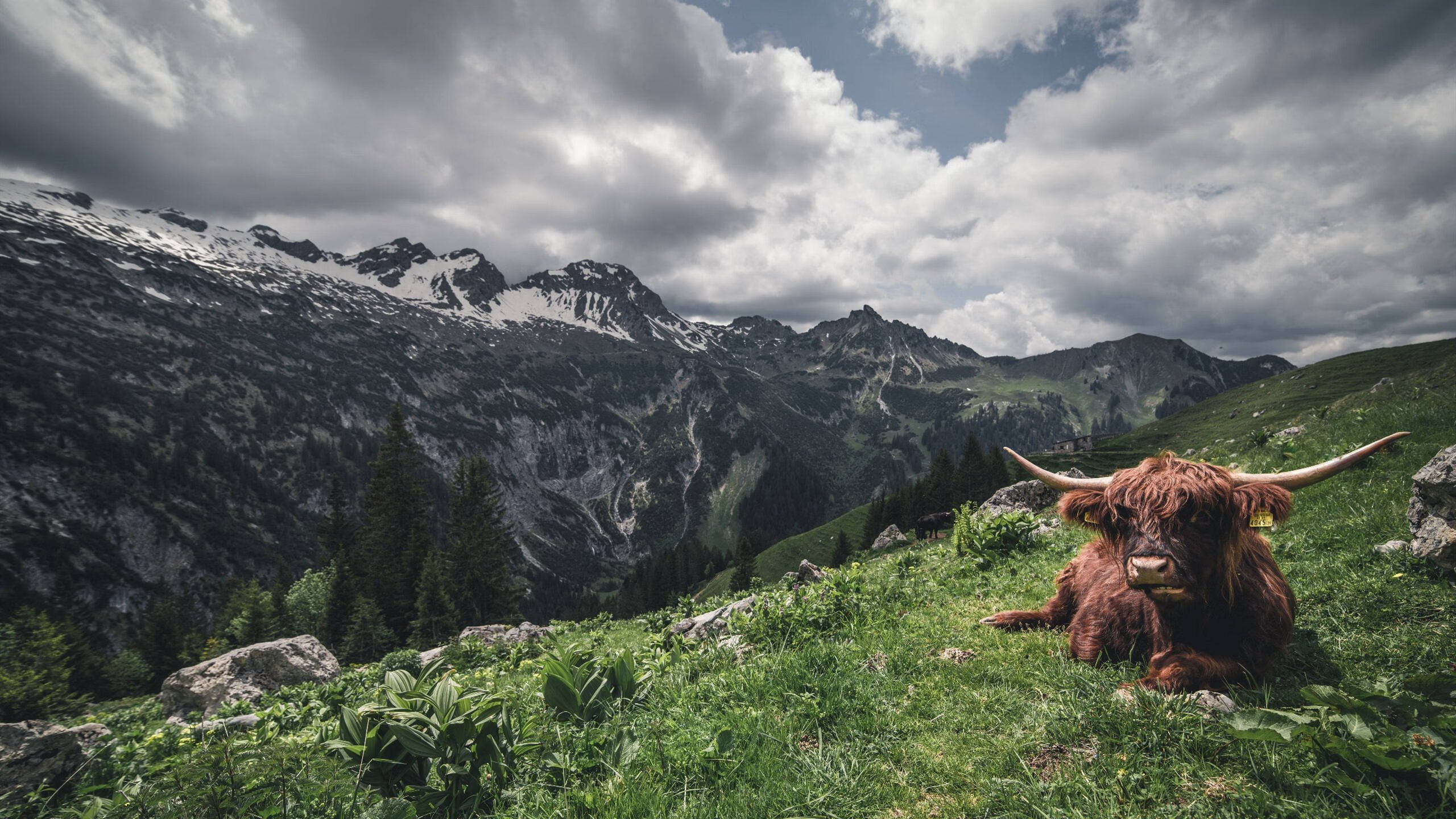 kaiyun 开云体育-雷霆是否有机会杀入西部前三，雷霆是否有机会杀入西部前三的英雄