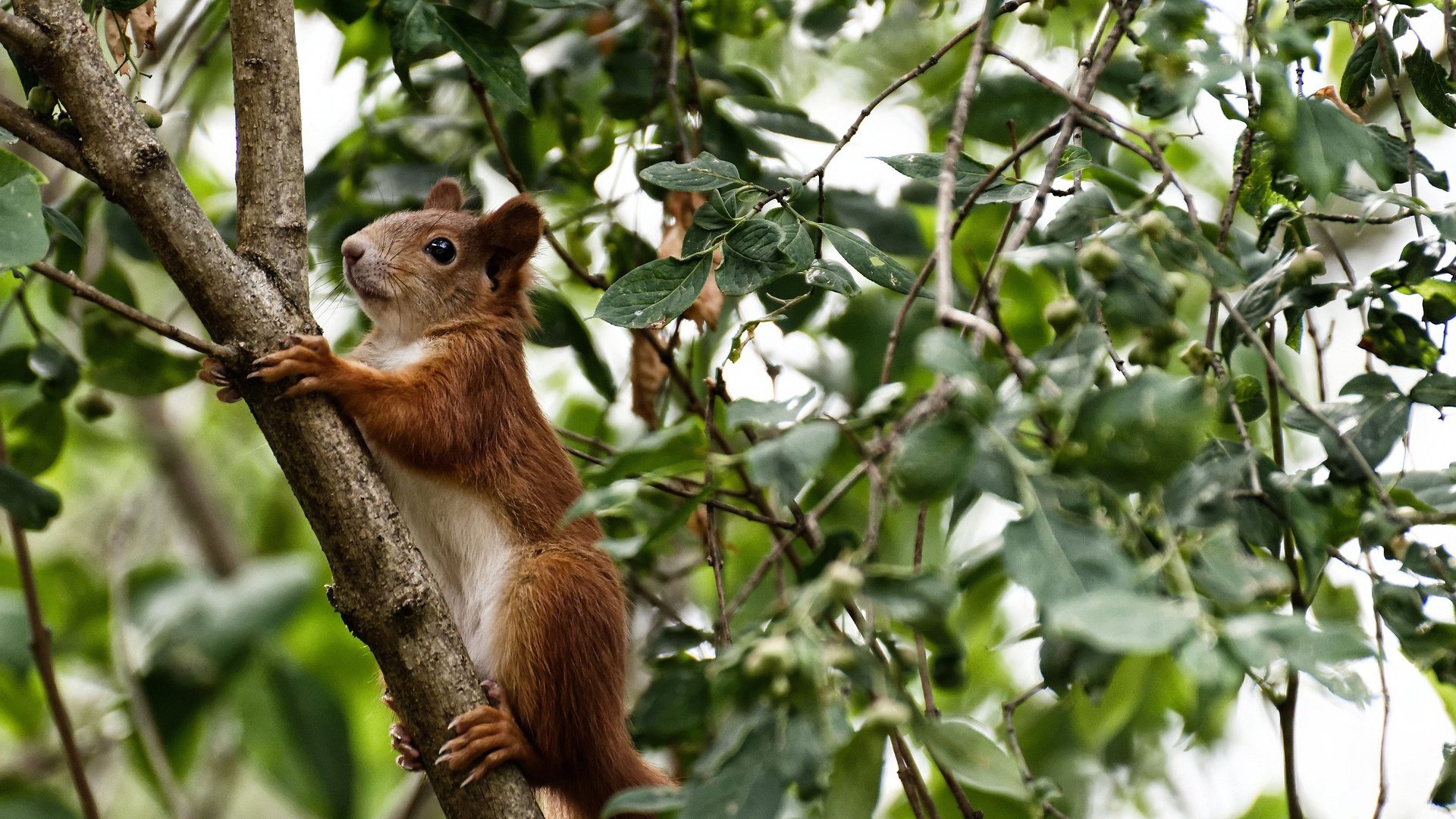 世界公开水域游泳赛中国女队首次夺金,中国游泳队世界大赛18枚金牌