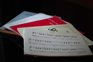 开云网站-中小学体育课程内容优化实践，中小学体育课程一体化研究