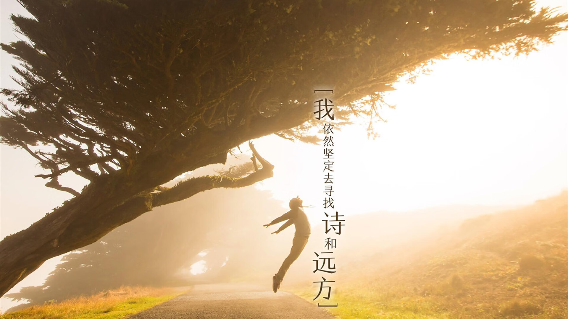 俱乐部融资：多元渠道支持球队成长，俱乐部如何盈利