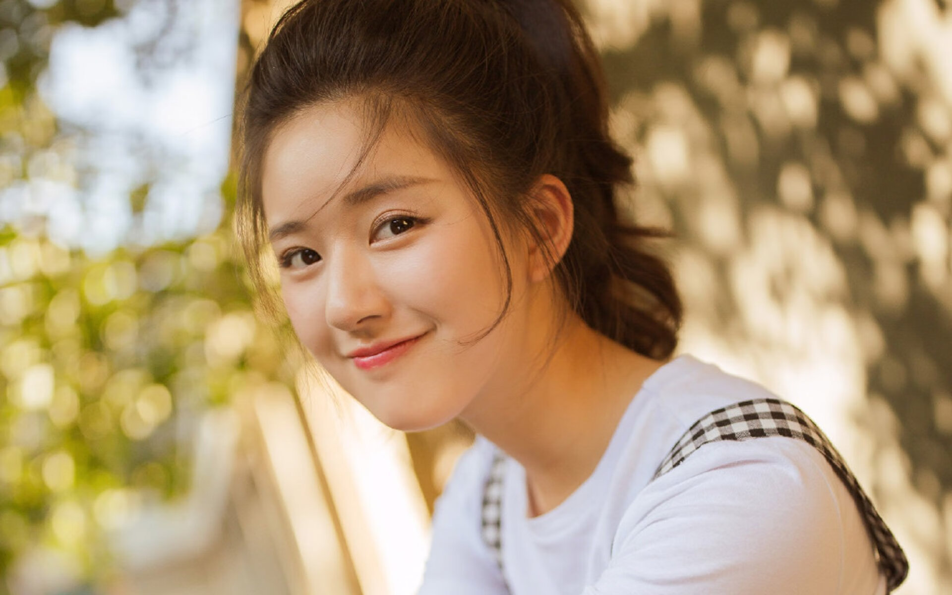 高校运动训练科学化管理平台开发,高校运动训练科学化管理平台开发与应用