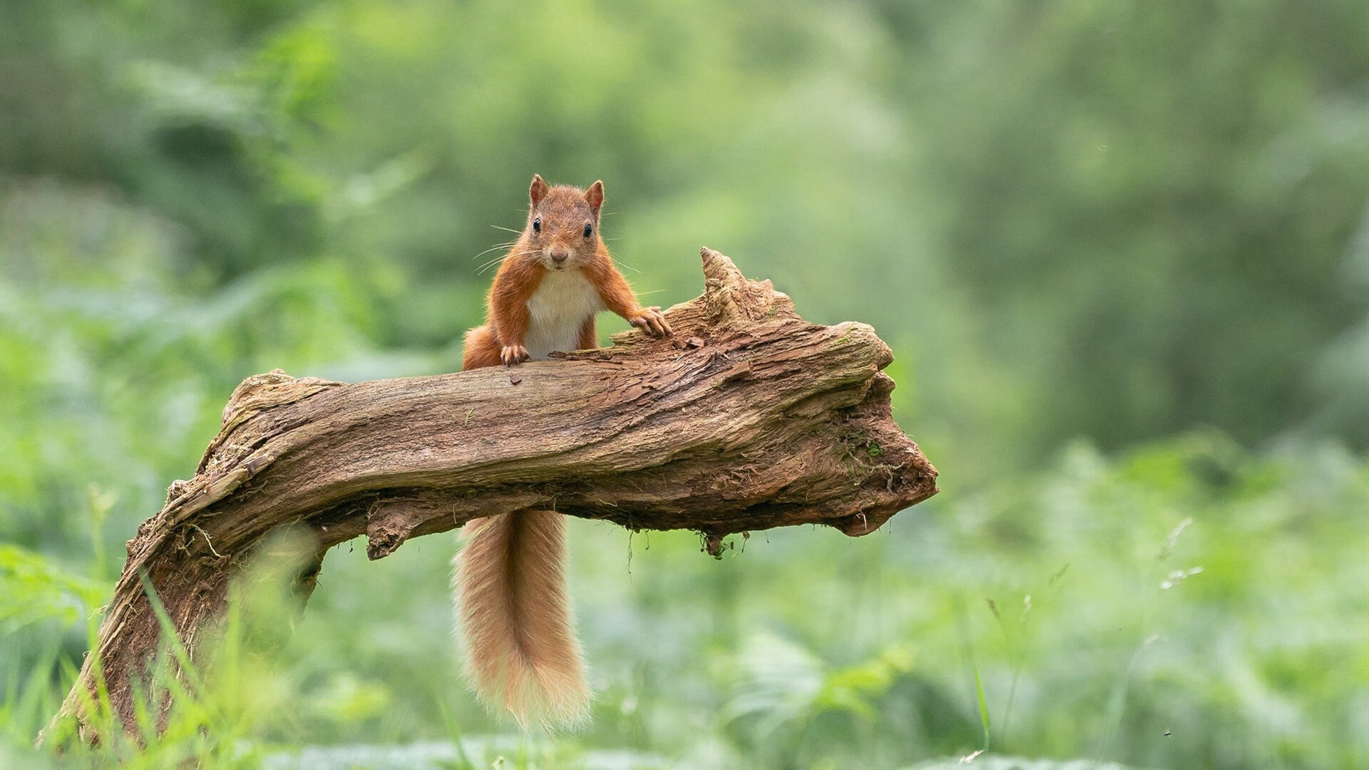 东亚杯中国足球爆冷 球员沟通成焦点，东亚足球队踢中乙时的主力名单