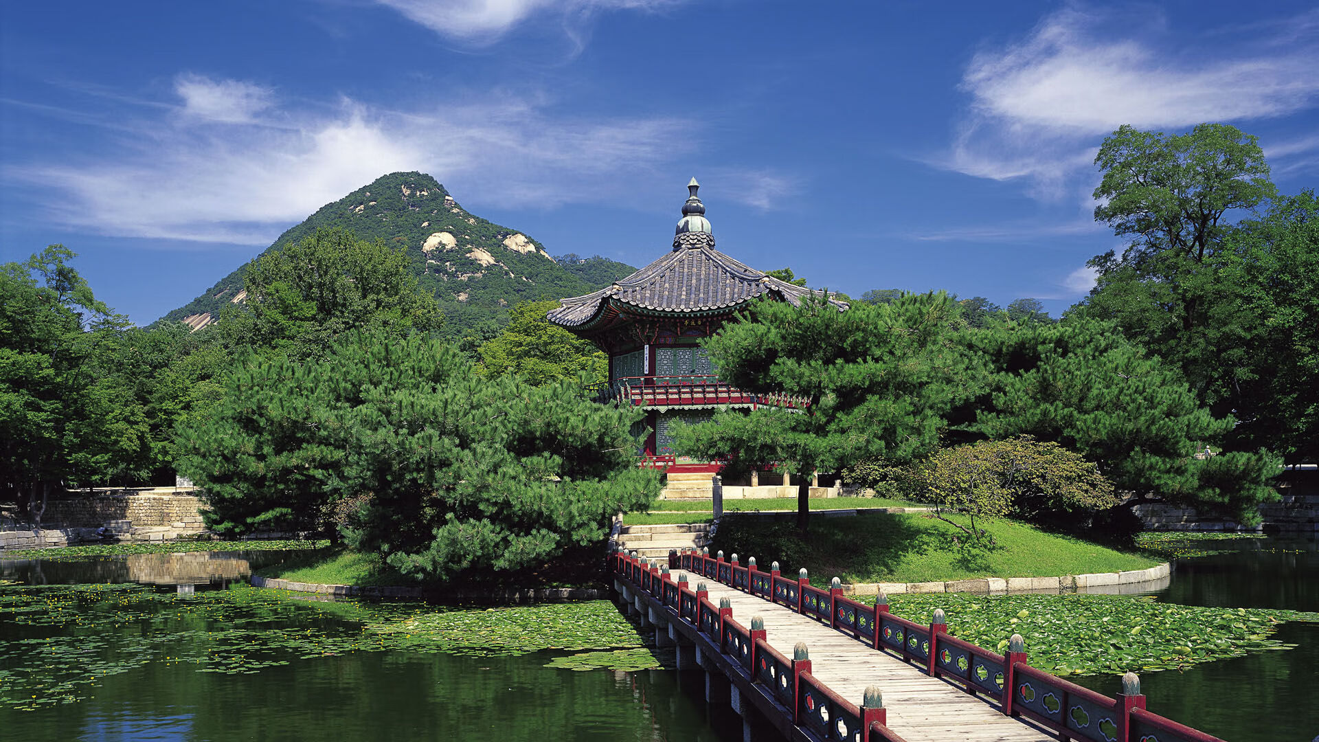 加拿大队未来发展计划：如何冲击国际乒乓舞台的巅峰，乒乓加拿大组合