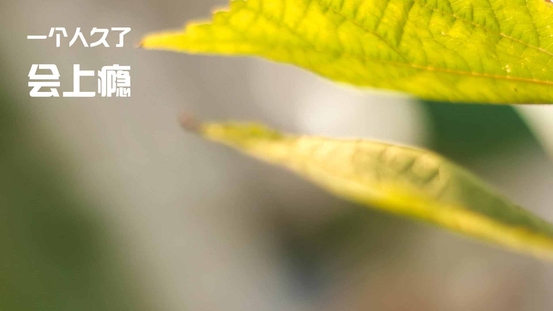 基层足球发展如何打破资源壁垒，足球如何突破