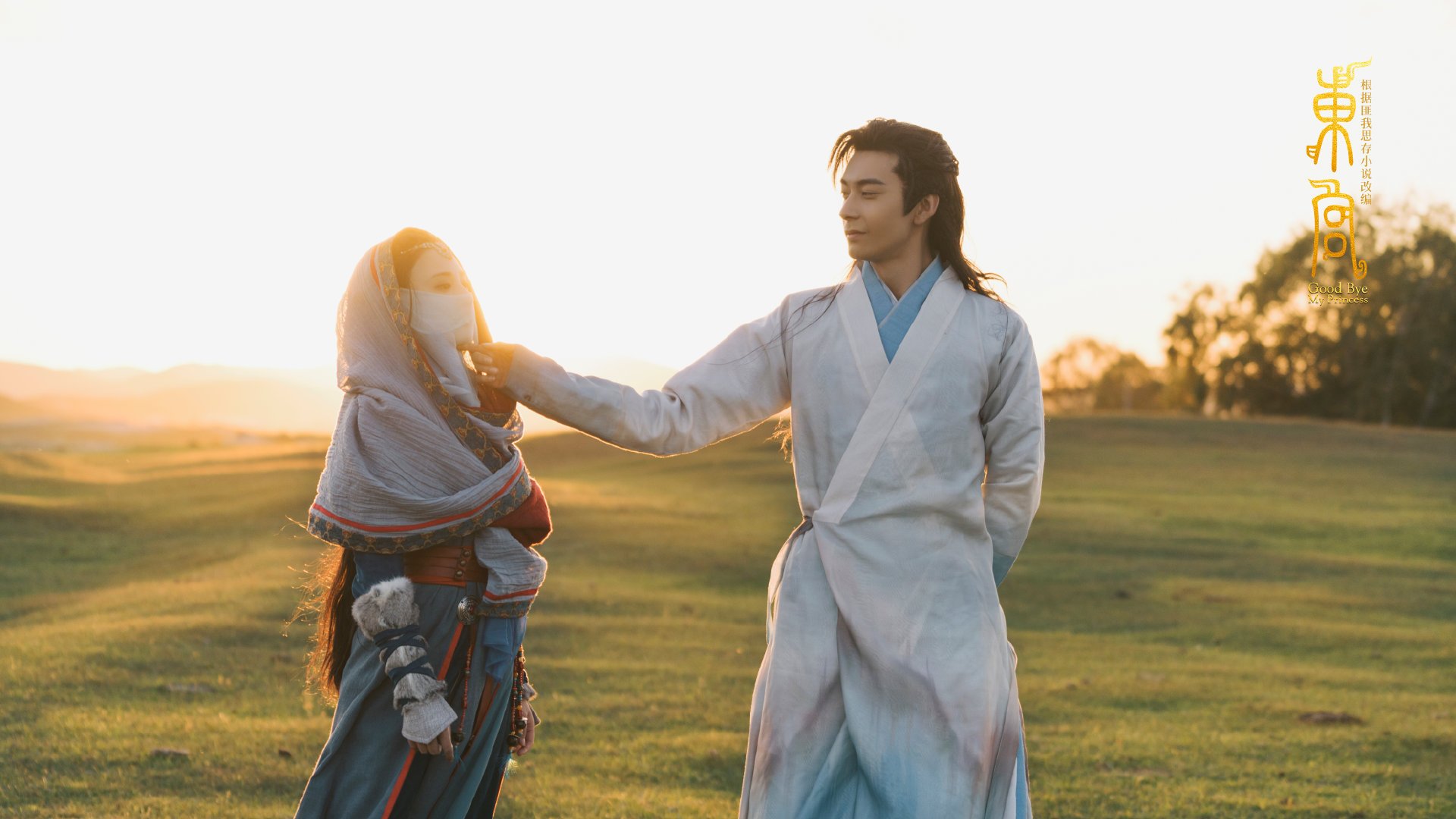 女子仰泳赛场再现澳洲风采，女子仰泳比赛视频