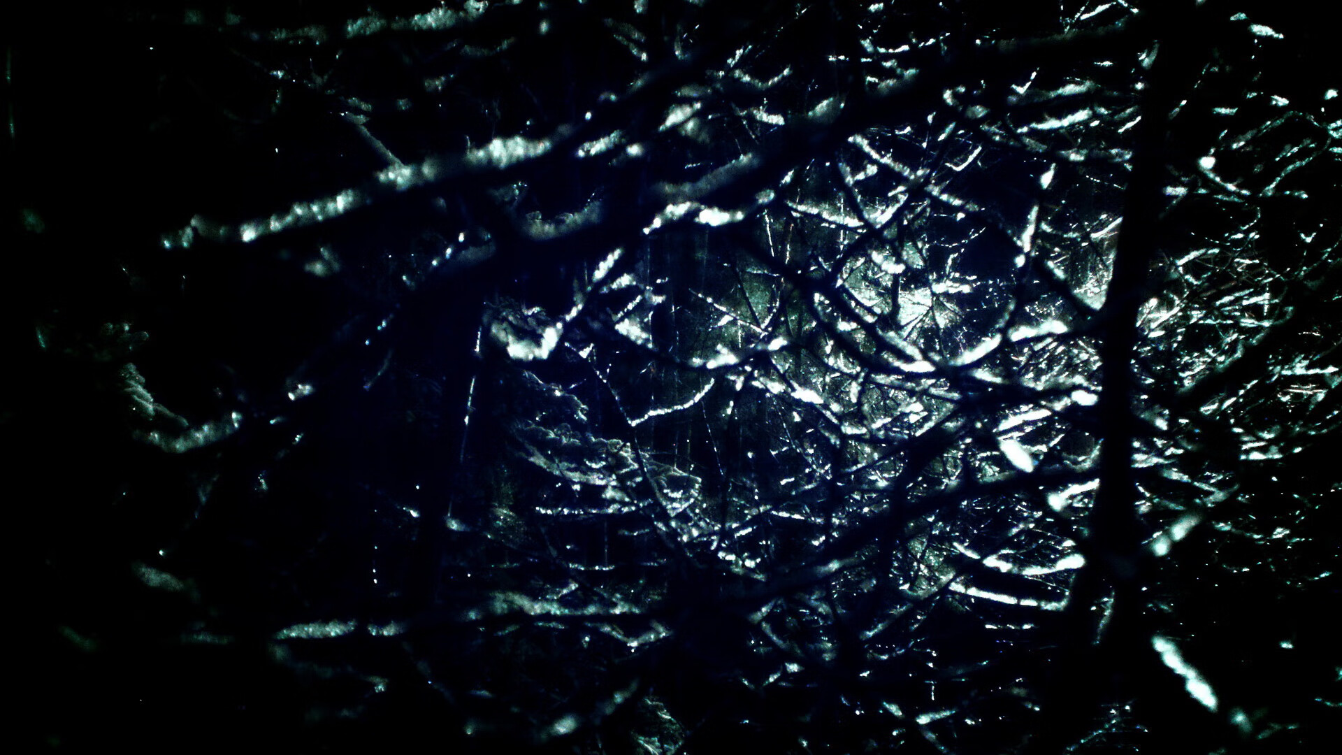 Kaiyun APP-麦肯齐：以超强的爆发力和精准的长传，成为全黑队攻势中的关键人物