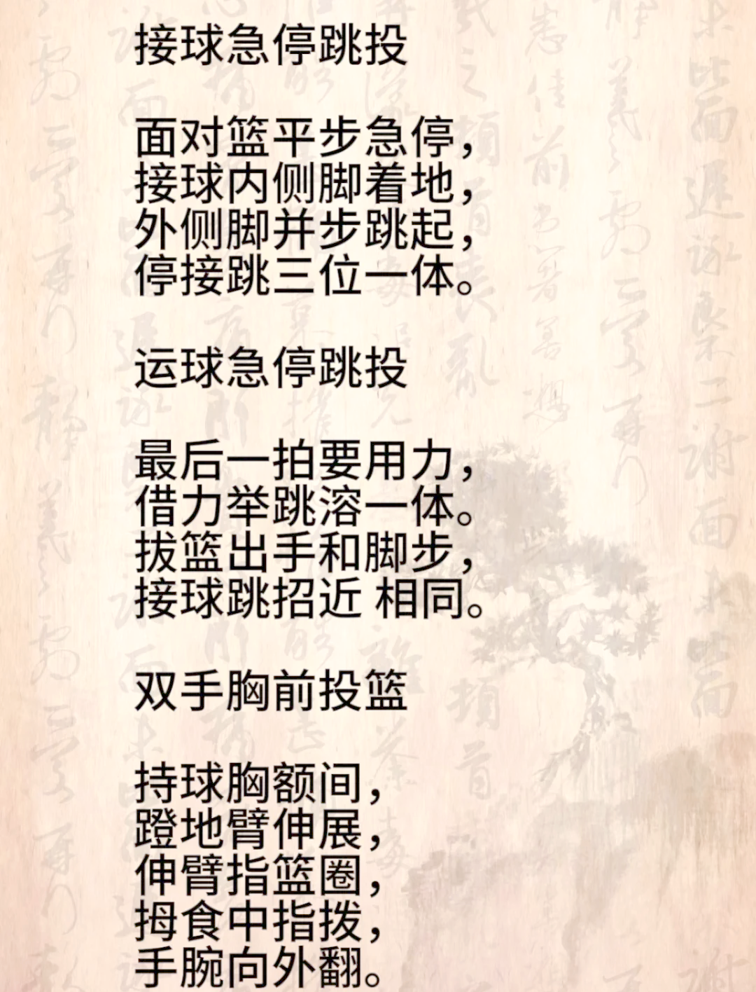 NBA球队的防守策略解析